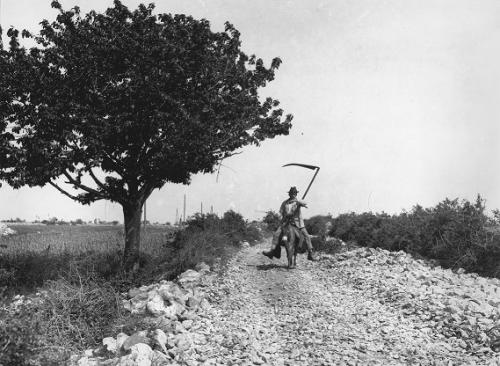 Paul Scheuermeier, Dignano d'Istria, stampa ai sali d'argento, CC BY-SA